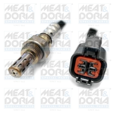 Oxygen Sensor